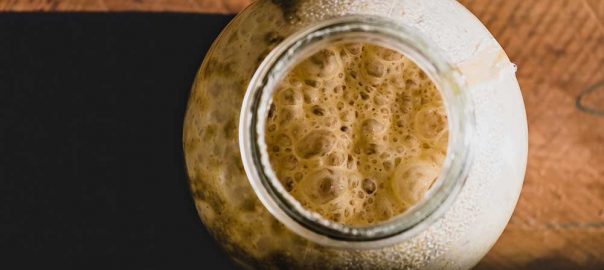 自制啤酒酵母图片