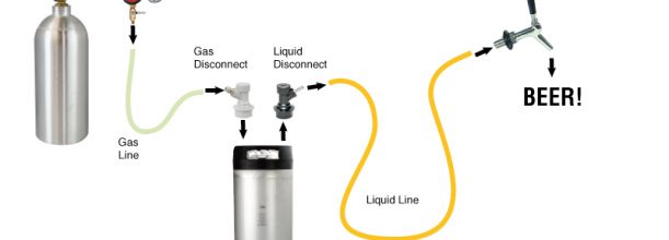 学用KEG桶强制碳化啤酒