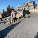 猴哥烧烤@大馅饺子15080780381